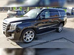 фото Внедорожник CADILLAC ESCALADE