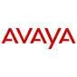 фото Базовая станция Avaya DECT IP RBS