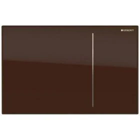 Фото Кнопка для инсталляции Geberit Sigma70 115.620.SQ.1 (Стекло