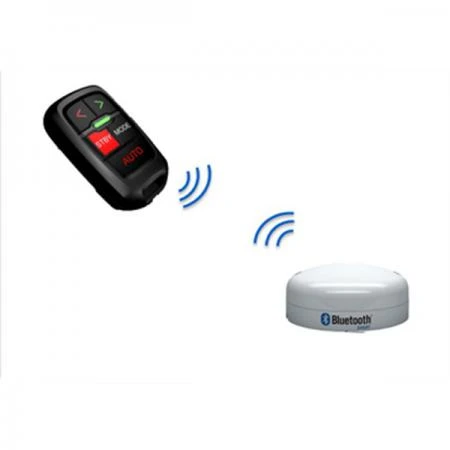 Фото Пульт и базовая станция WR10 Autopilot remote and base station (000-12316-001)