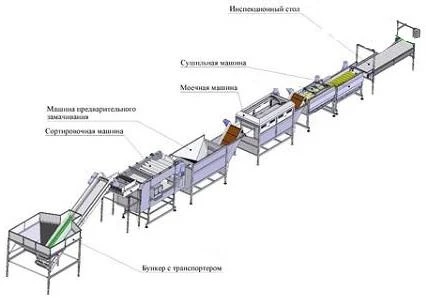 Фото Линия для предпродажной подготовки овощей, корнеплодов..