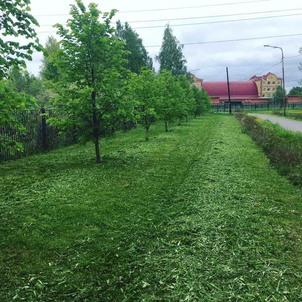 Фото Покос травы триммером по низкой цене за сотку Тюмень.