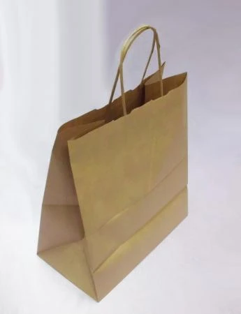 Фото Пакет бумажный с ручками ECO CarrBag tw