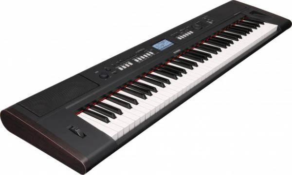 Фото Синтезатор YAMAHA NP-V60 Piaggero