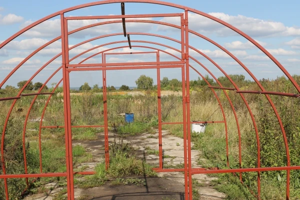 Фото Теплицы из поликарбоната на металлическом каркасе доставка бесплатная по всей области