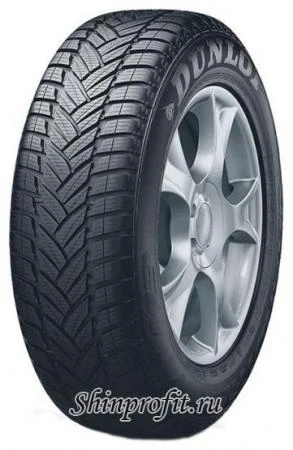 Фото Dunlop Grandtrek WT M3 255/50 R19 107V