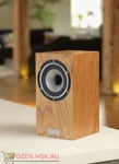 фото Полочная акустическая система Tannoy Revolution XT Mini Цвет: Дуб MEDIUM OAK