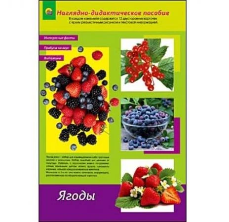 Фото Наглядно-дидактическое пособие Ягоды садовые и лесные