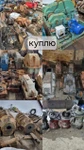 фото Куплю редуктора
