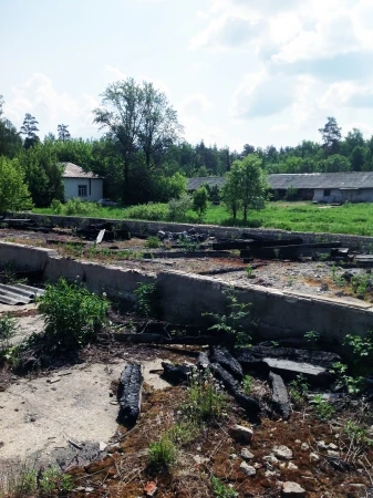 Фото 50 соток земли под пищевое производство.