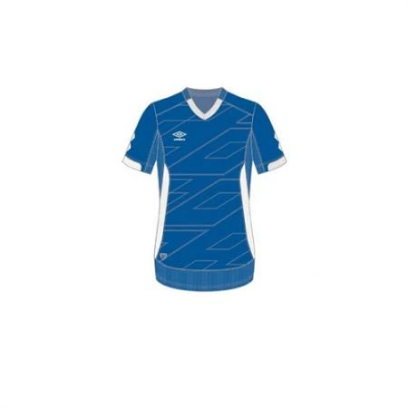 Фото Футболка игровая Umbro Verdao Jersey SS (Размер: S; Цвет: Бело-синий;)