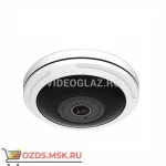 фото Smartec STC-IPM12140A1 Estima IP-камера FishEye